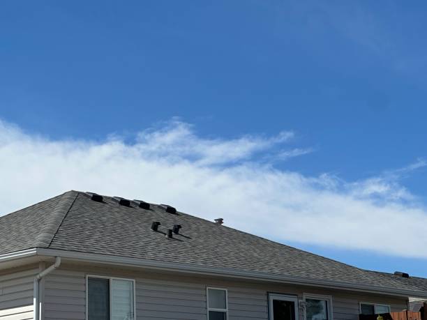 Best Solar Panel Roofing Installation  in Madera Ranchos, CA